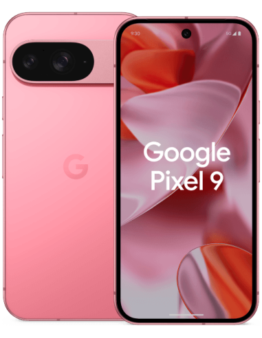 Google Pixel 9 256Go