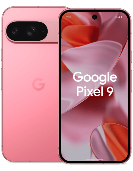 Google Pixel 9 256Go