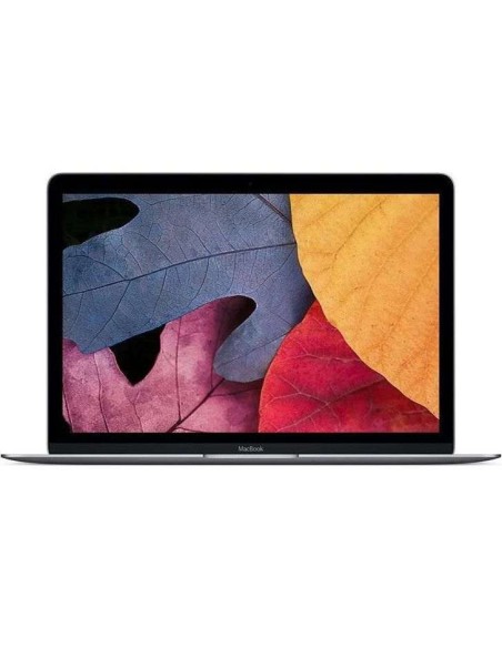Reprise MacBook Rétina 12 pouces